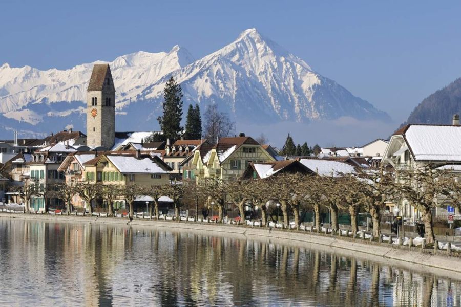 Offers - Manuel Mobility